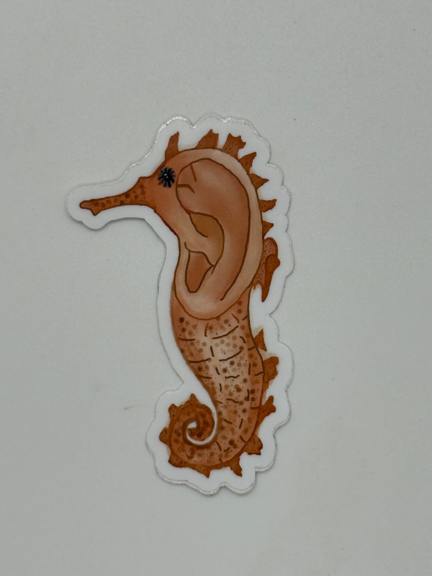 Searhorse Sticker