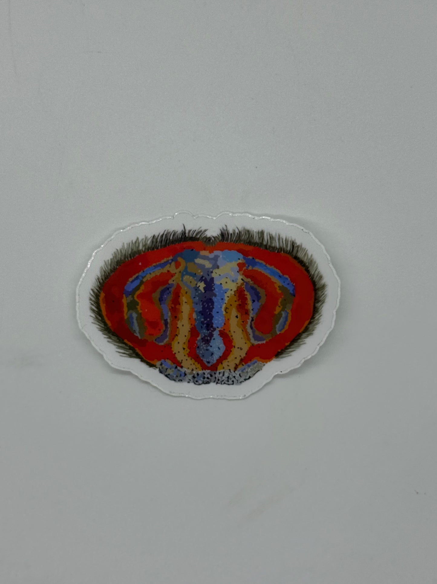 Dancing Spider Bum #2